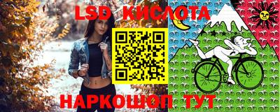 герыч Владимир