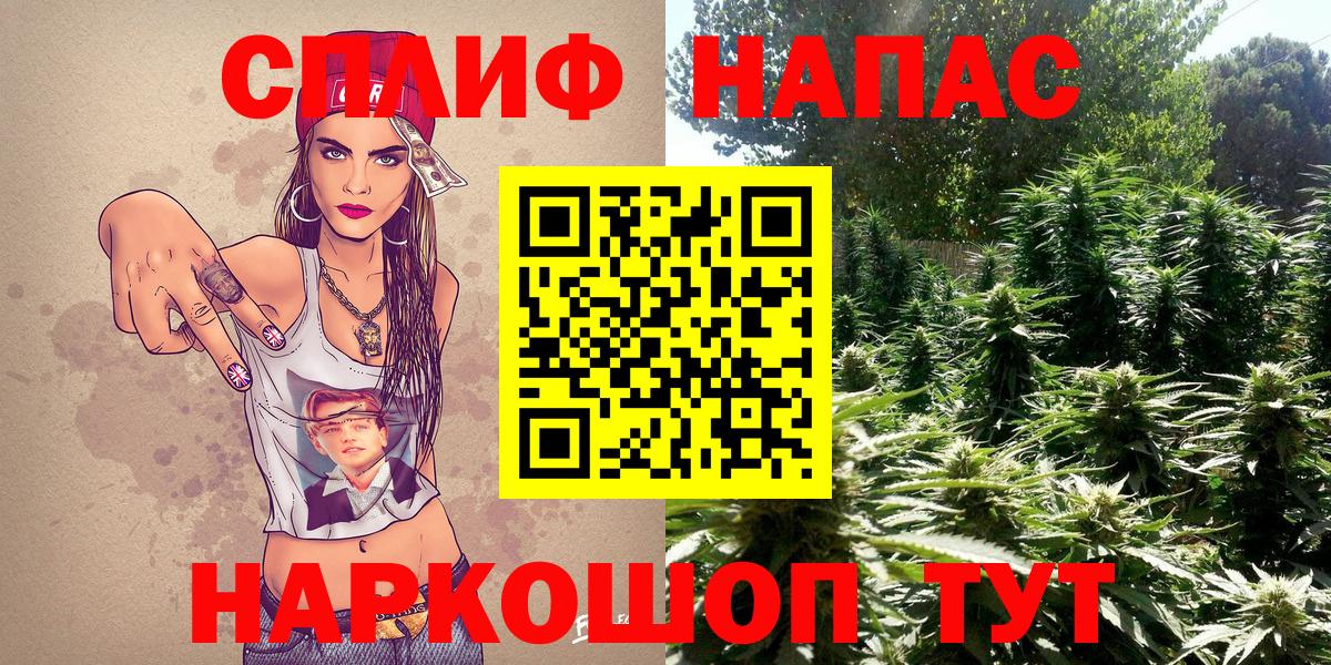 Конопля Amnesia Кировск